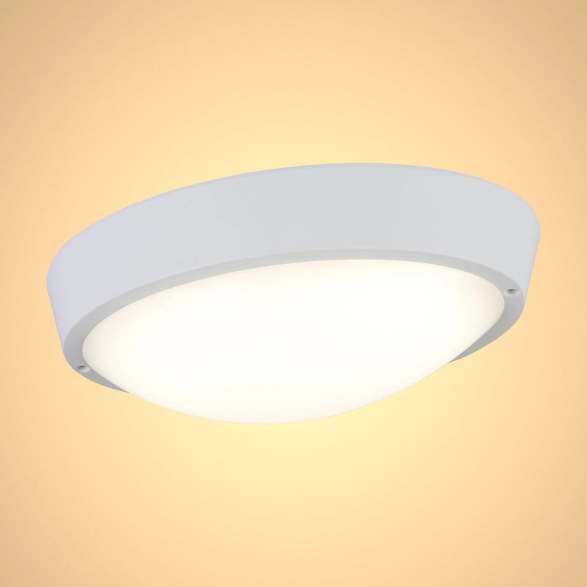 LED Bulkhead Light IP65, Ceiling/Wall, Interior/Exterior 4000K