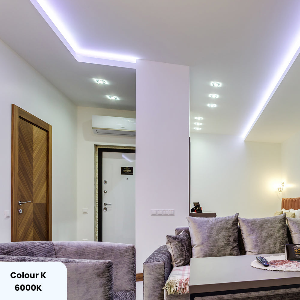 24V COB LED Strip Lights with 480 LEDs/M, 12W/M, 1020lm/M, CRI 90-92, 6500K, IP65