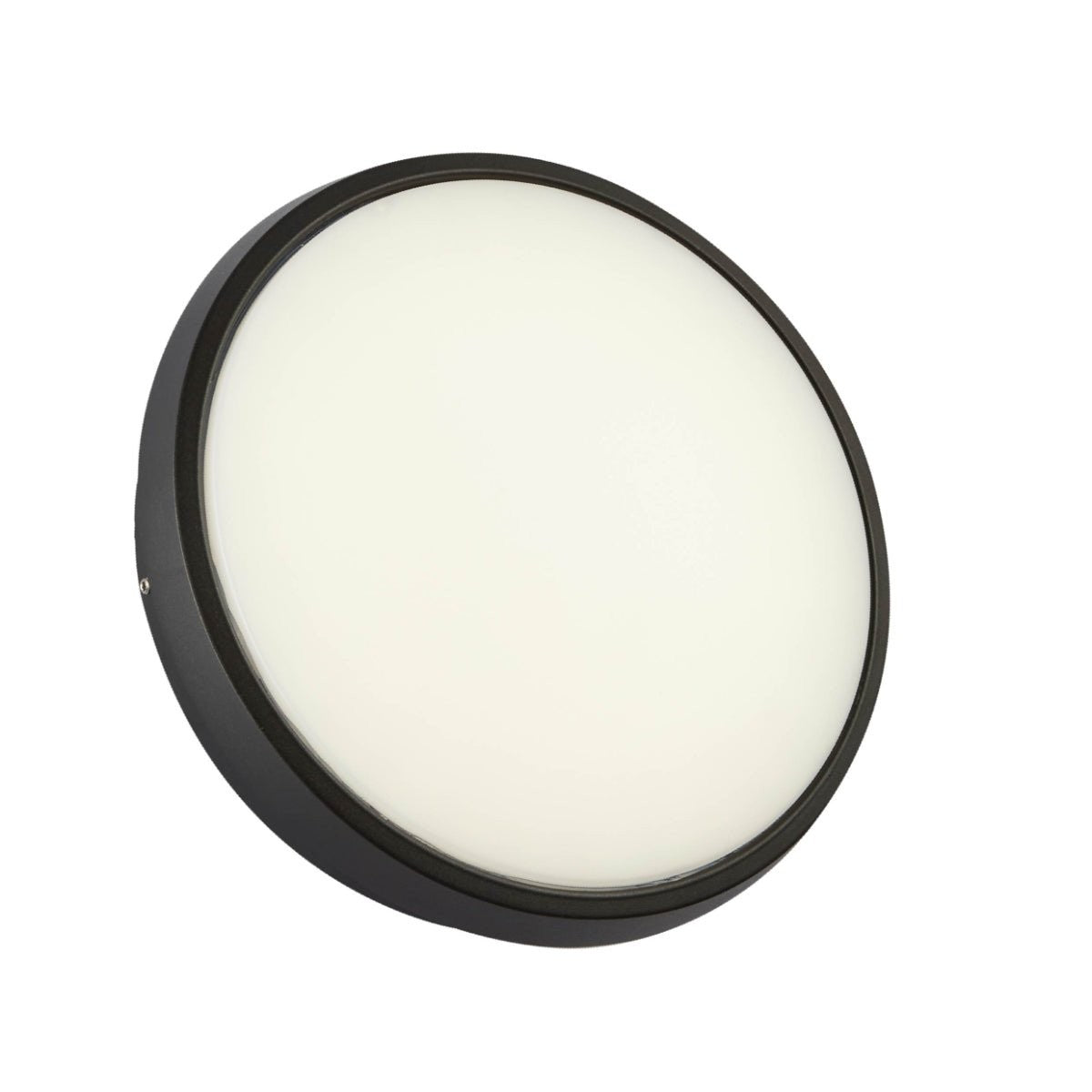 Black Ring Moonlight Outdoor Modern LED Wall Light