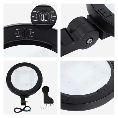 LED Outdoor Wall Light, Selectable 60-100W & 3CCT