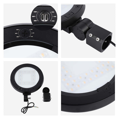LED Outdoor Wall Light, Selectable 60-100W & 3CCT