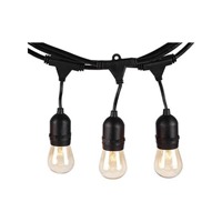 Rother EU Plug 10M LED String Light, 2*10w, 1800LM, 220-240V