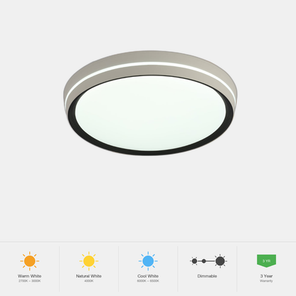Tekled Modern Flush Mount Ceiling Light with Decorative Ring A