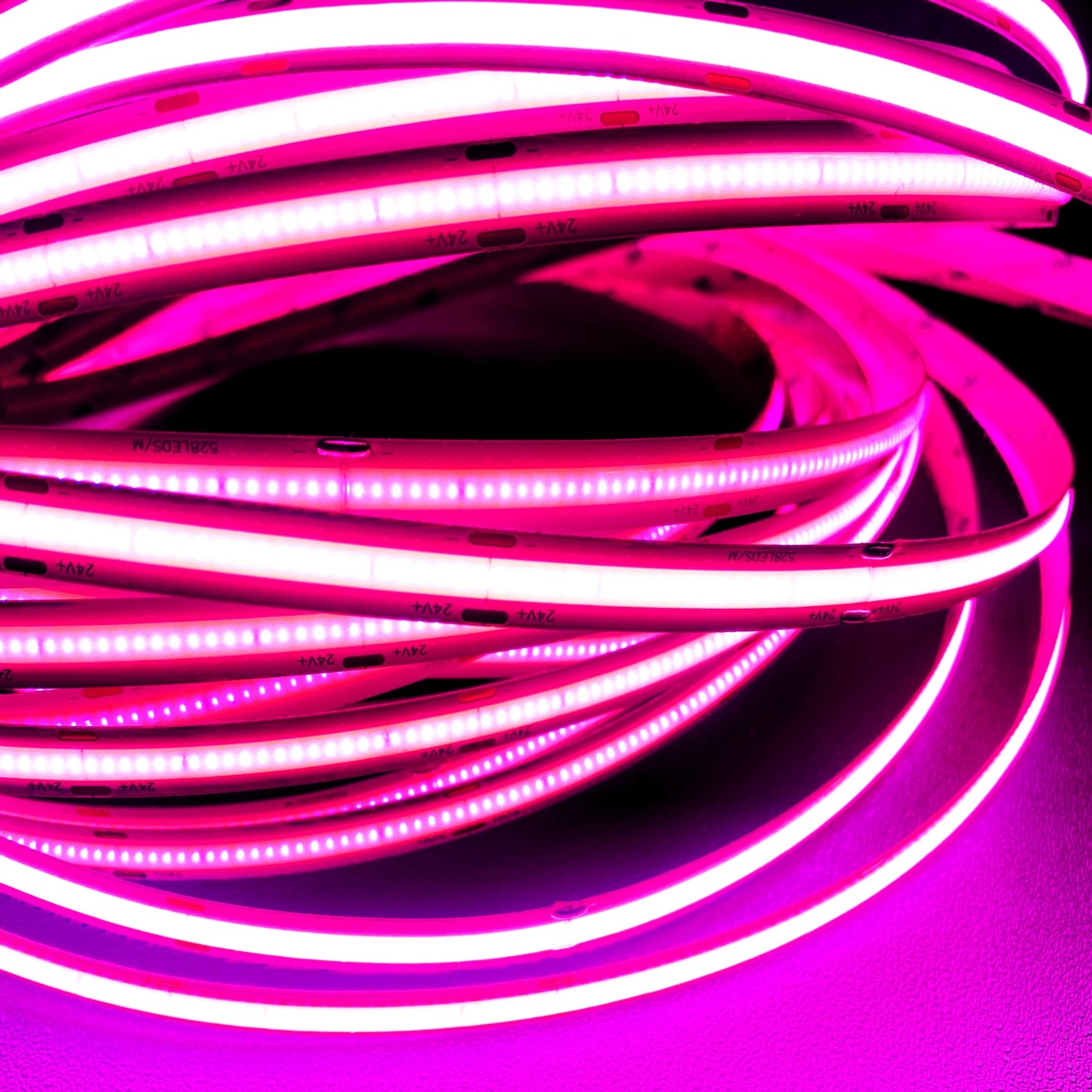 Pink COB LED Strip Light - 24V, 528 LEDs/m, 14W/m