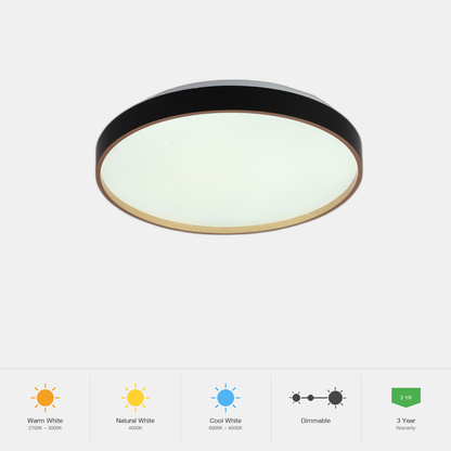 Tekled Elegant Contemporary Flush Mount LED Ceiling Light