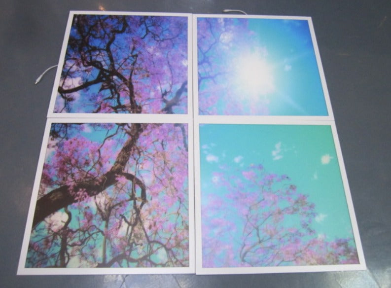 SKY Panel 60x60cms with Cherry blossom trees 2D Effect (4 pcs set)
