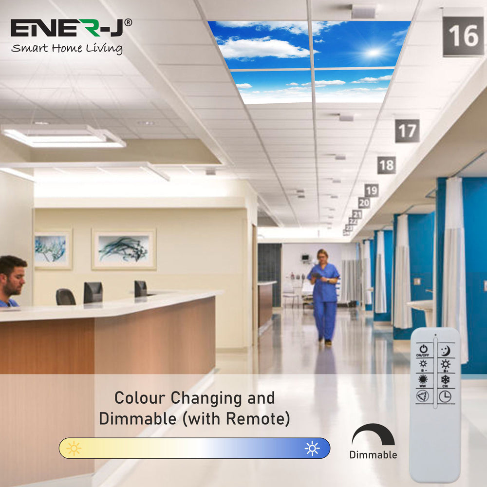 60X60 LED Sky Ceiling Panel 3D Effect Set of 4 units