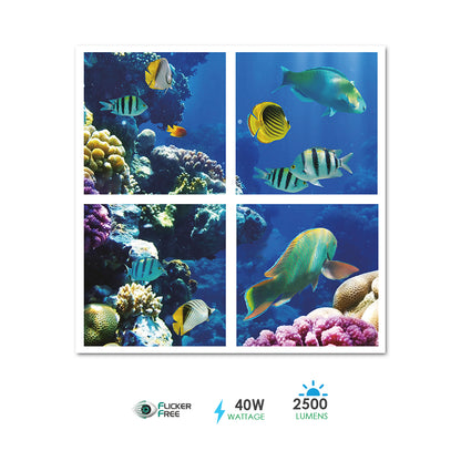 595x595 2D Marine Ocean with Fishes Design LED Panels  40W  4 pcs set