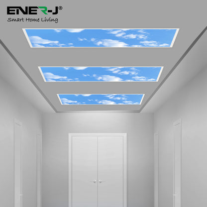 1195x595mm size LED Backlit Panel with 2D Sky Picture 60W