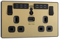 BG Evolve Satin Brass Double, switched, single pole, WiFi Extender + USB A - PCDSB22UWRB-01