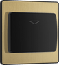 BG Evolve Satin Brass Hotel key card switch - PCDSBKYCSB-01