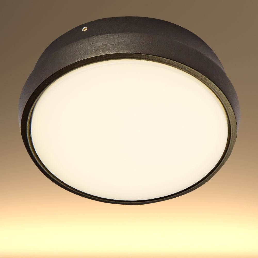 Black Ring Moonlight Outdoor Modern LED Wall Light – TEKLED