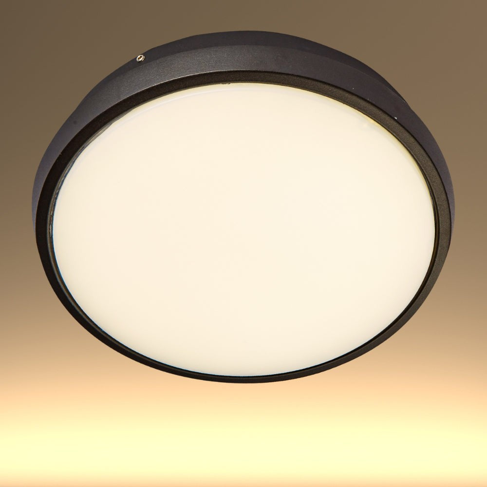 Black Ring Moonlight Outdoor Modern LED Wall Light