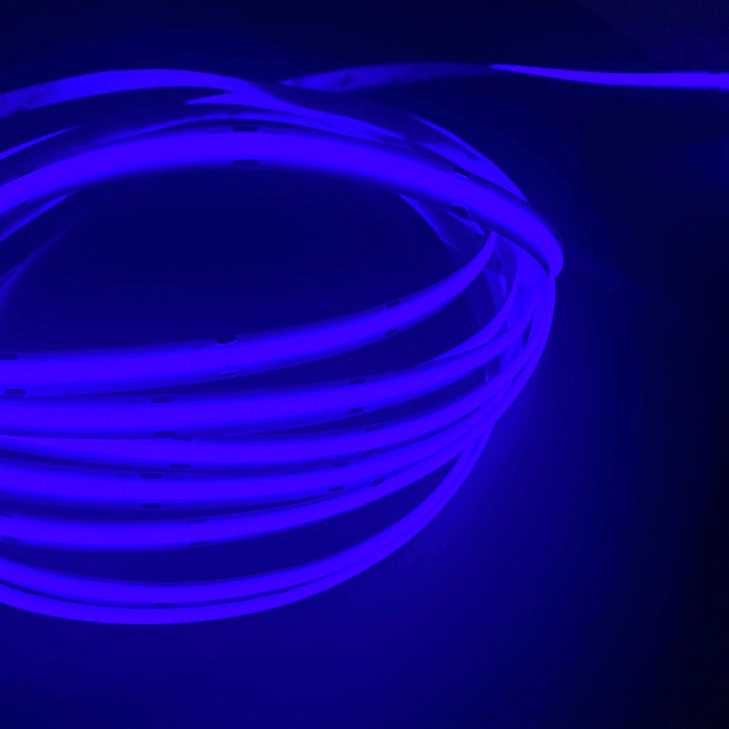 Blue COB LED Strip Light - 24V, 528 LEDs/m, 14W/m