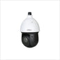 Dahua 4MP WizSense Network PTZ Camera