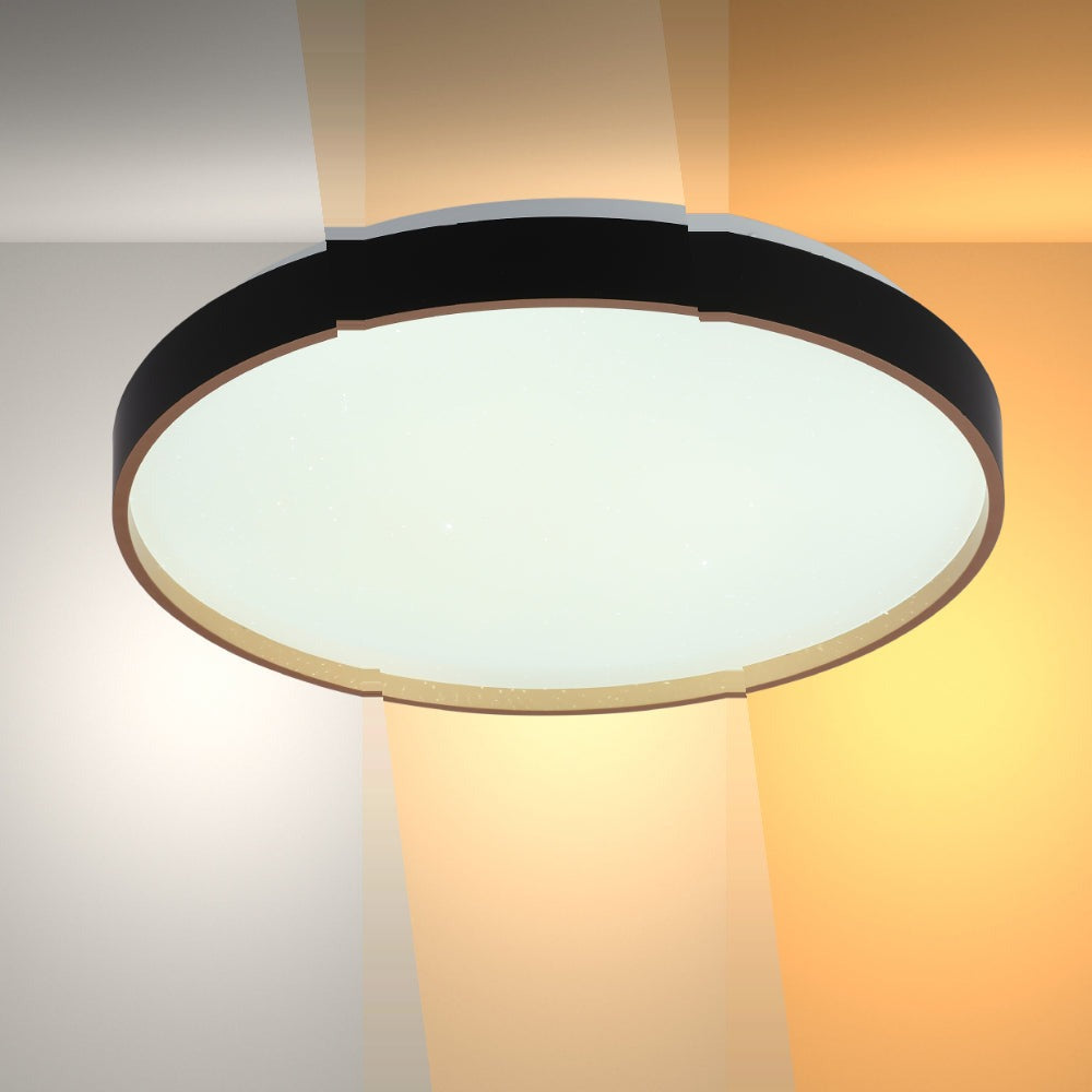 Elegant Contemporary Flush Mount LED Ceiling Light