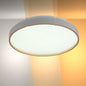Elegant Contemporary Flush Mount LED Ceiling Light