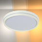 Modern Flush Mount Ceiling Light with Decorative Ring Accent
