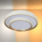 Modern Two-Layer LED Flush Mount Ceiling Light with Remote Control