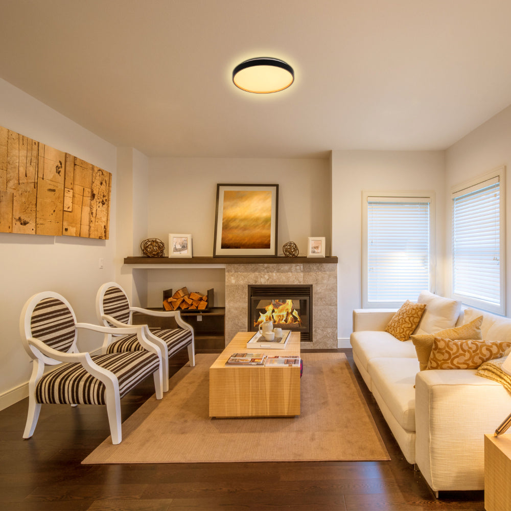 Elegant Contemporary Flush Mount LED Ceiling Light