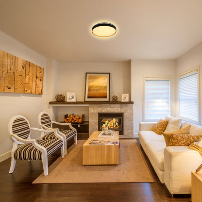 Elegant Contemporary Flush Mount LED Ceiling Light