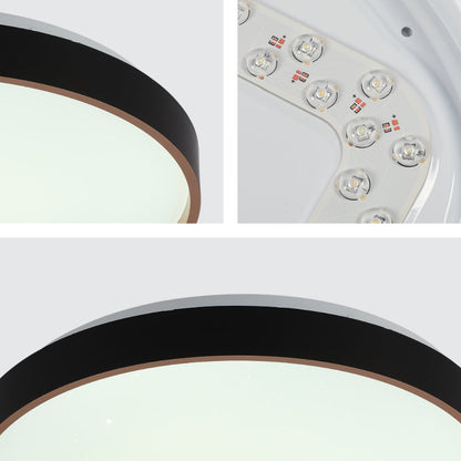 Elegant Contemporary Flush Mount LED Ceiling Light