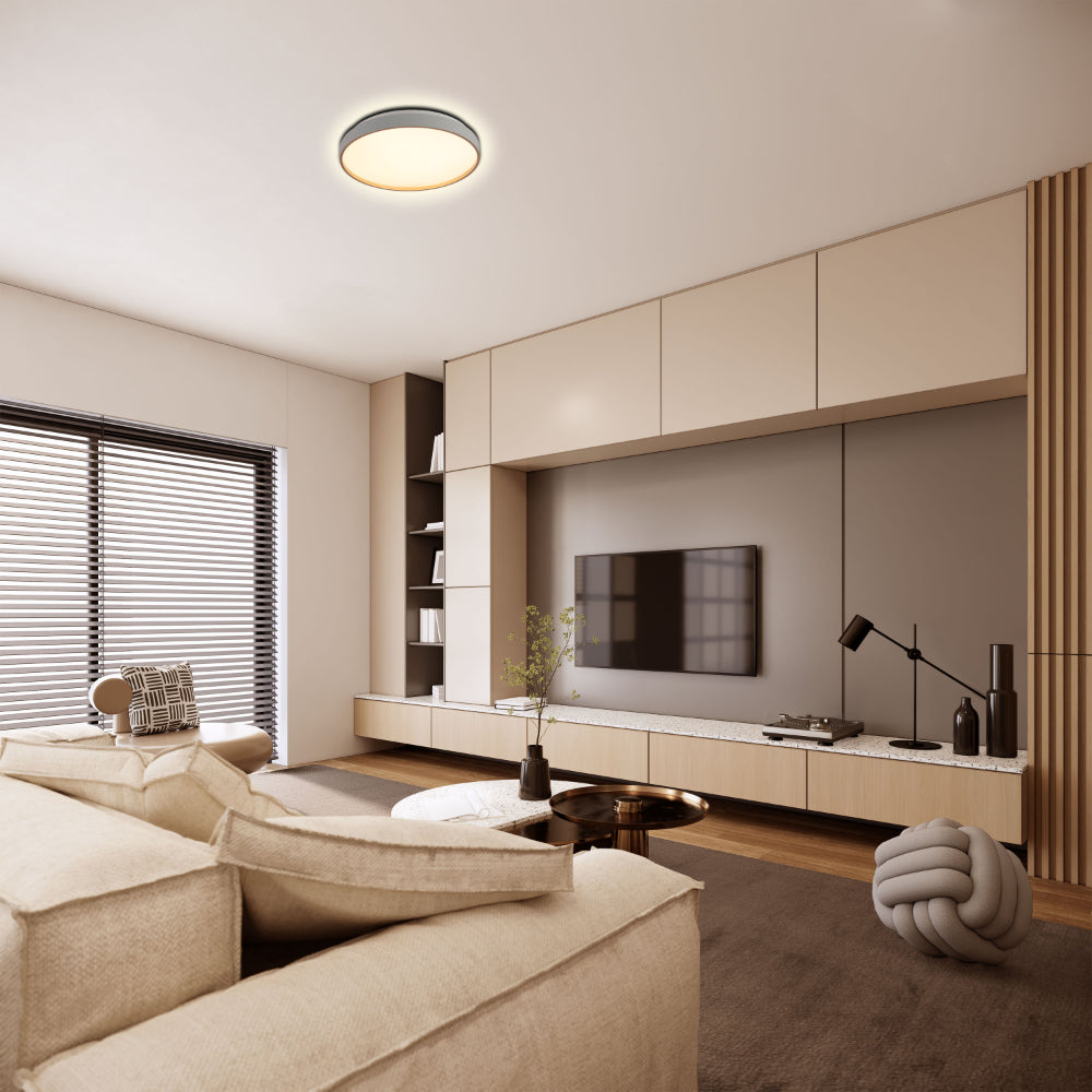 Elegant Contemporary Flush Mount LED Ceiling Light