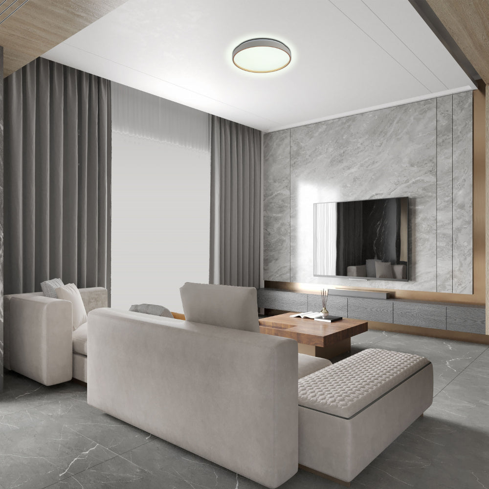 Elegant Contemporary Flush Mount LED Ceiling Light