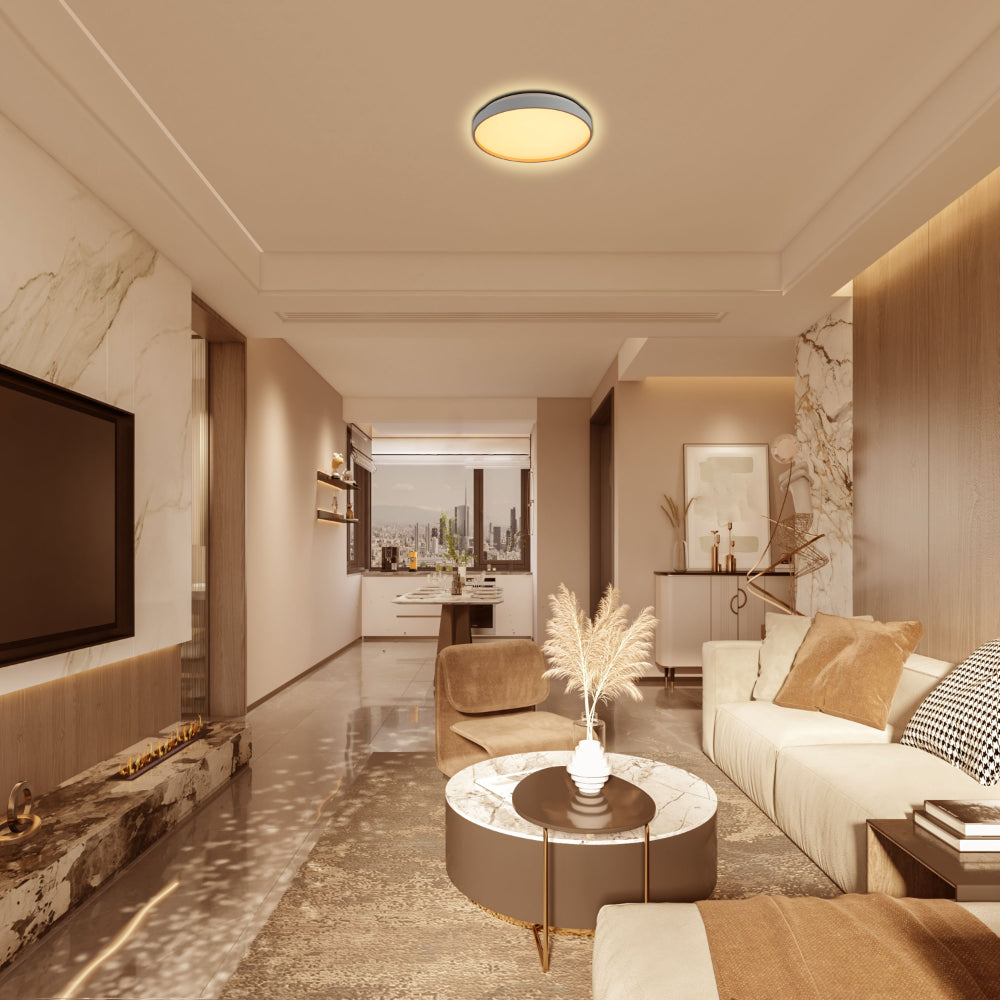 Elegant Contemporary Flush Mount LED Ceiling Light
