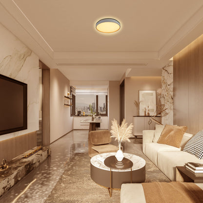 Elegant Contemporary Flush Mount LED Ceiling Light