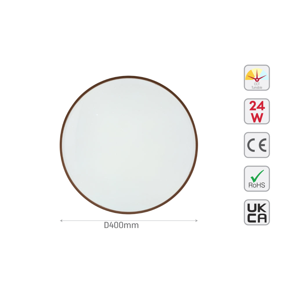 Elegant Contemporary Flush Mount LED Ceiling Light