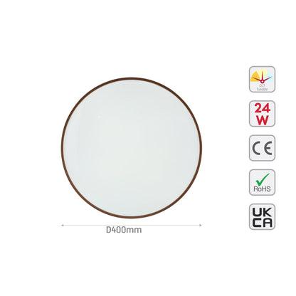 Elegant Contemporary Flush Mount LED Ceiling Light