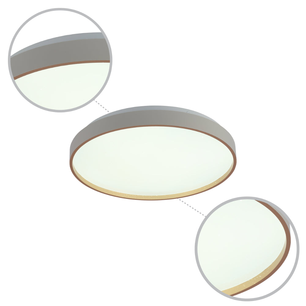Elegant Contemporary Flush Mount LED Ceiling Light