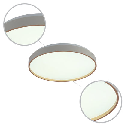 Elegant Contemporary Flush Mount LED Ceiling Light