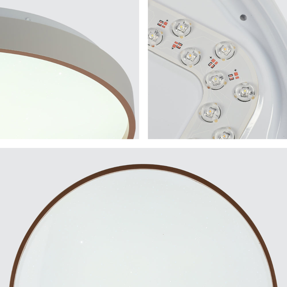 Elegant Contemporary Flush Mount LED Ceiling Light