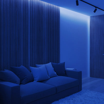 24V COB LED Strip Lights with 480 LEDs/M, 12W/M, 1200lm/M, CRI 90-92, Blue Colour