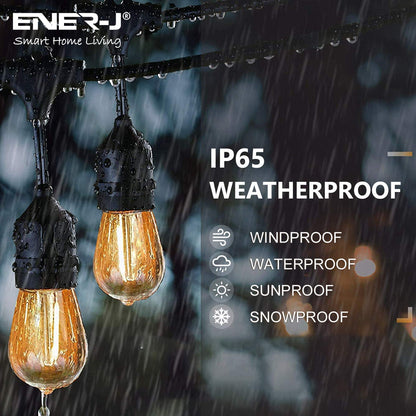 Ener-J 100 Feet LED Filament Bulb String Light Kit (inc 30x1W Filament LED Lamps)