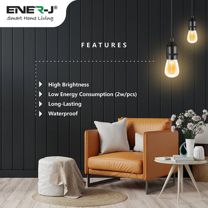 Ener-J LED Filament Bulb String Light Kit (inc 15x2W Filament LED Lamps)