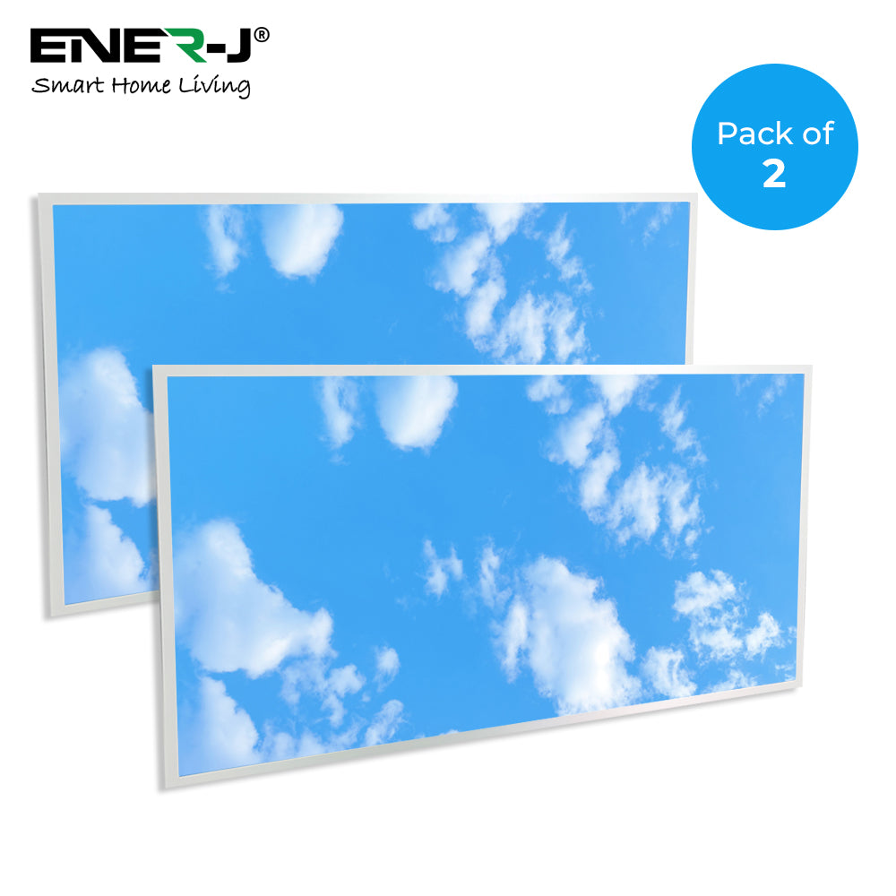 1195x595mm size LED Backlit Panel with 2D Sky Picture 60W