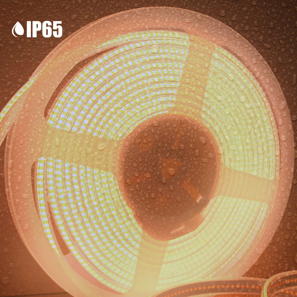 24V COB LED Strip Lights with 480 LEDs/M, 12W/M, 1200lm/M, CRI 90-92, 3000K, IP65