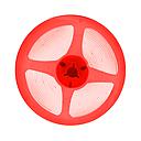 24V COB LED Strip Lights with 480 LEDs/M, 12W/M, 1200lm/M, CRI 90-92, Red Colour