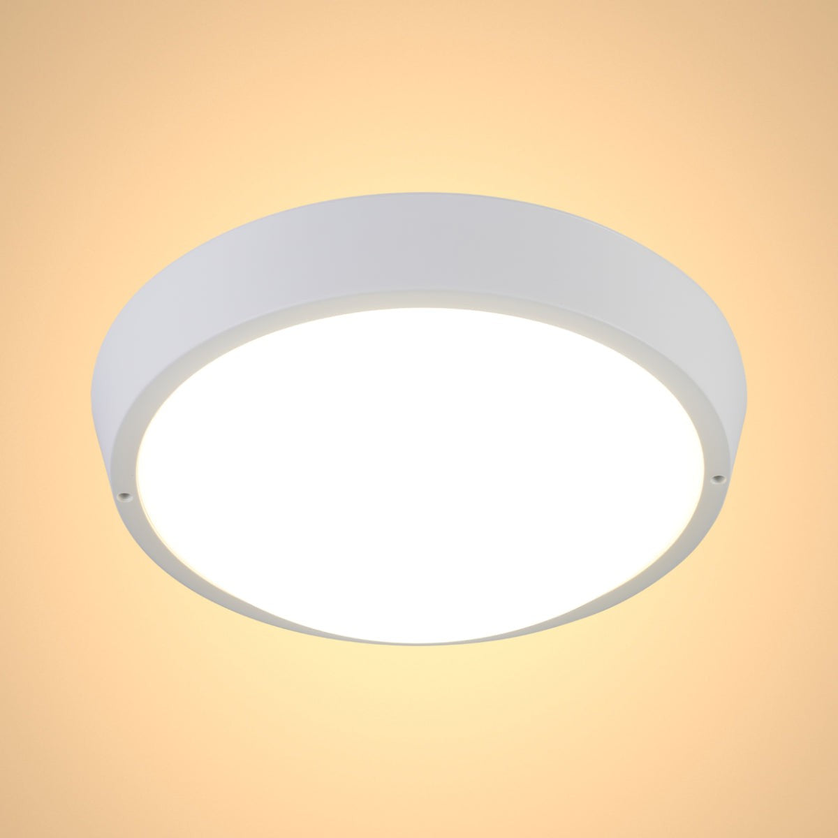 LED Bulkhead Light IP65 Ceiling Wall Interior Exterior 4000K White