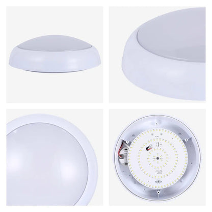 LED Paladin Bulkhead 14-16-20 W 3CCT IP54 with White Rim