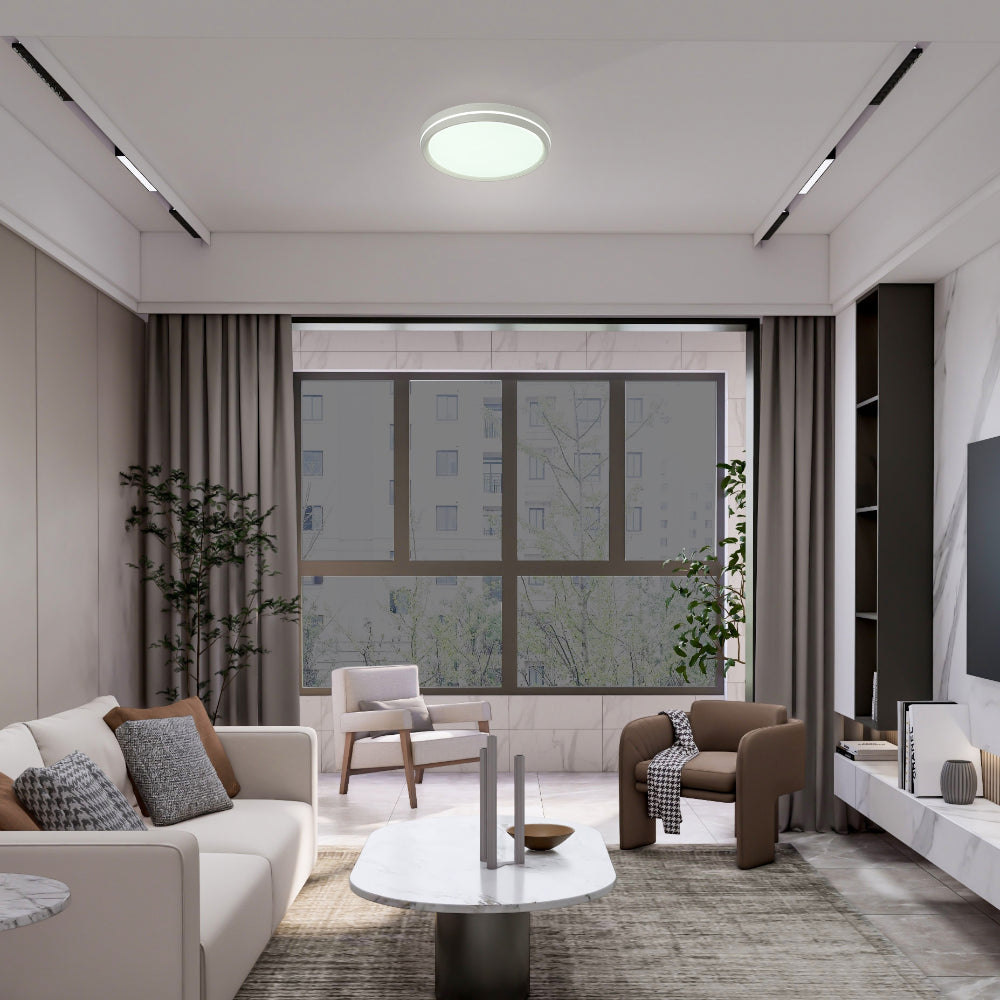 Modern Flush Mount Ceiling Light with Decorative Ring Accent