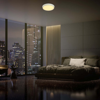 Modern Flush Mount Ceiling Light with Decorative Ring Accent