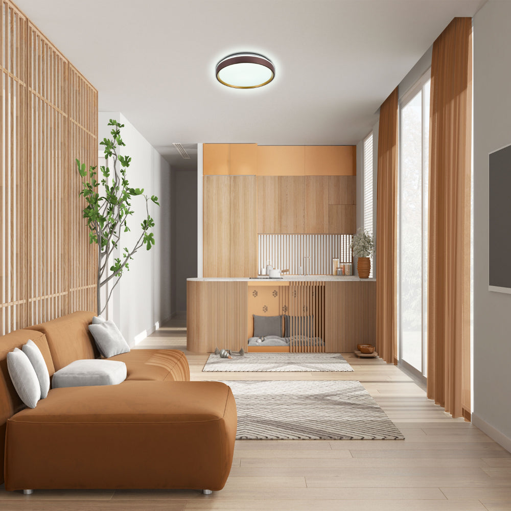 Modern Halo Effect LED Ceiling Light with Colour Contrast Design