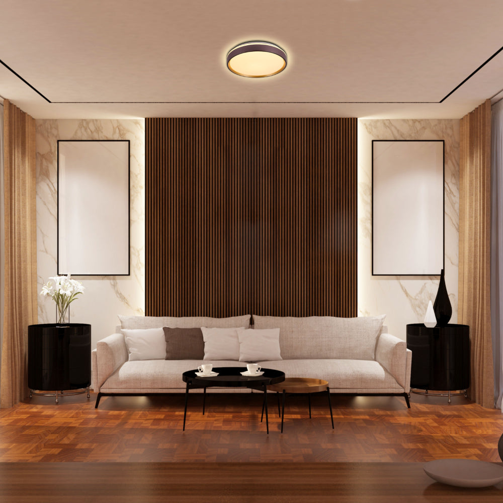Modern Halo Effect LED Ceiling Light with Colour Contrast Design