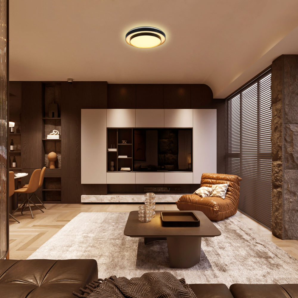 Modern Two-Layer LED Flush Mount Ceiling Light with Remote Control