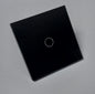1 Gang WiFi Smart Touch Switch