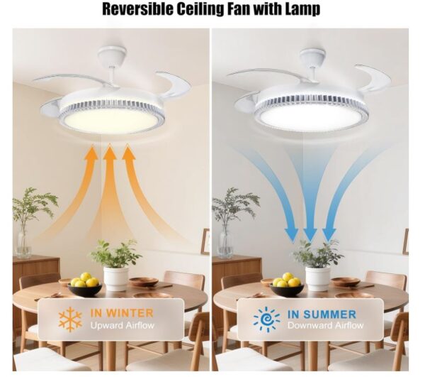 30W Ceiling Fan with 70W Lamp CCT 6500k/4200k/3000k, with Remote Control - Image 4